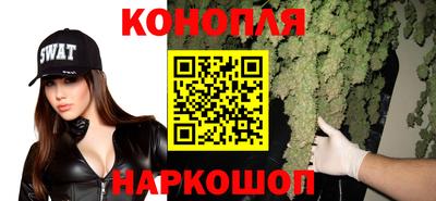 амф Севастополь